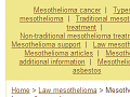 Mesothelioma lawyer (lawyers