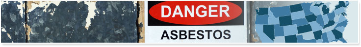 Mesothelioma Risk in Various, New York